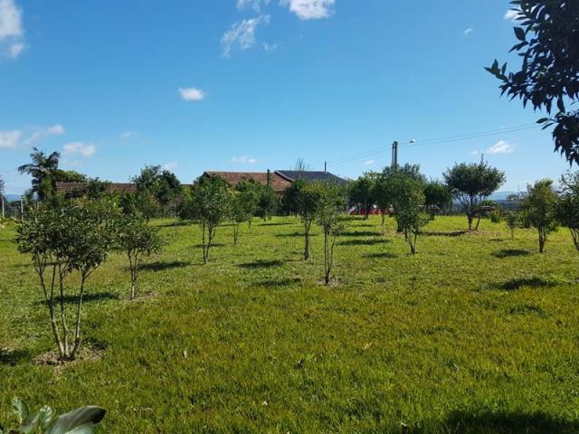 Lindo sítio escriturado em trombudo central, na localidade de fruteira - Foto 2
