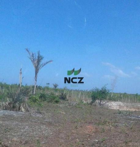 Fazenda à venda, 1450200000 m² por R$ 146.000.000 - Parque Independência - Chapadinha/MA - Foto 5