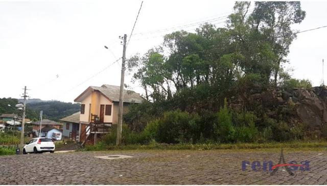 Terreno em flores da cunha - Foto 2