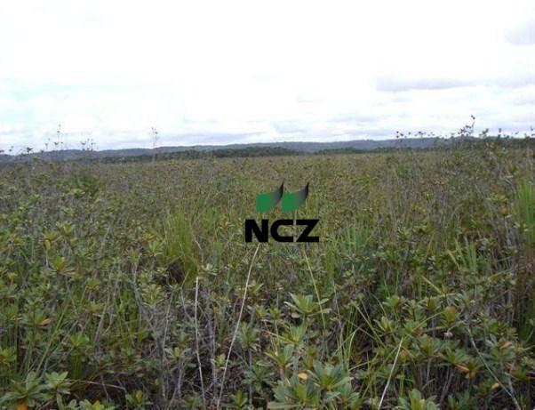 Fazenda à venda, 4080000 m² por r$ 5.000.000 - barra grande - maraú/ba - Foto 20