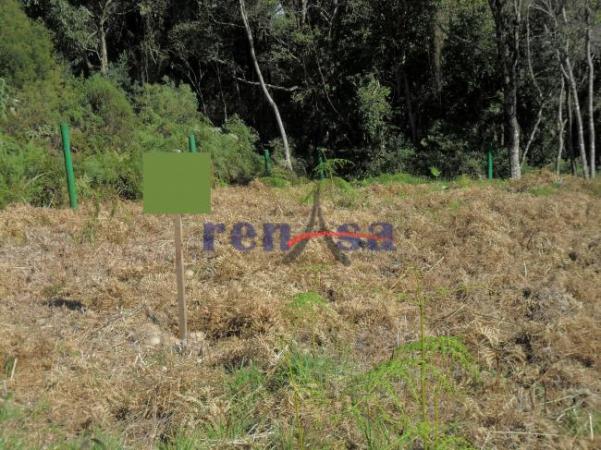 Terreno em caxias do sul - Foto 2