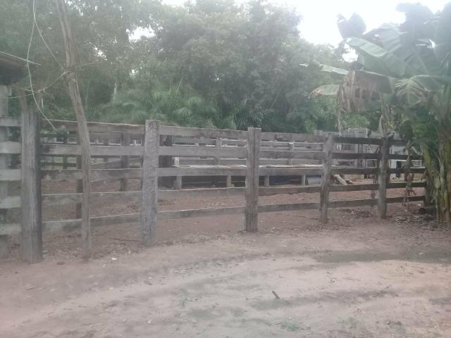 Fazenda 80 hectares próximo a Cuiabá - Foto 9