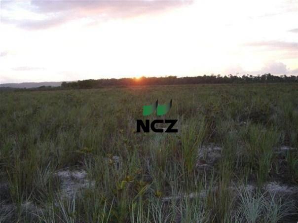 Fazenda à venda, 4080000 m² por r$ 5.000.000 - barra grande - maraú/ba - Foto 13