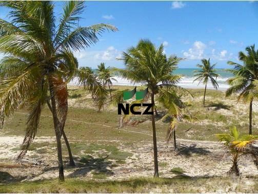 Fazenda à venda, 380000 m² por r$ 3.040.000 - litoral norte - jandaíra/ba - Foto 11