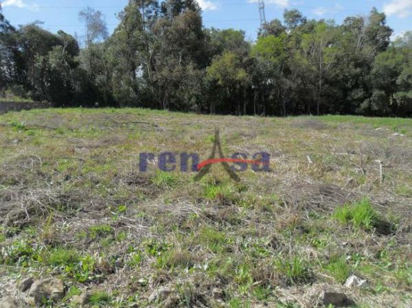 Terreno em caxias do sul