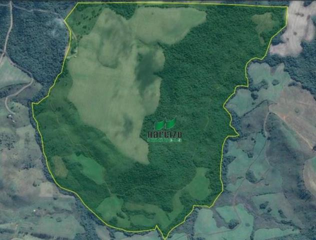 Fazenda à venda, 1113200 m² por r$ 3.800.000 - linha mangabeira - santa maria do oeste/pr - Foto 7