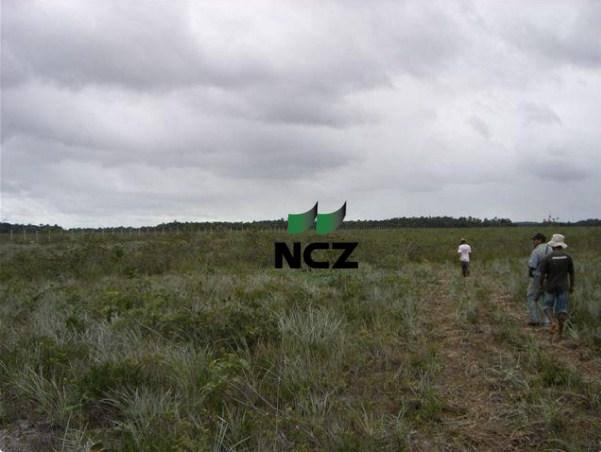 Fazenda à venda, 4080000 m² por r$ 5.000.000 - barra grande - maraú/ba - Foto 15