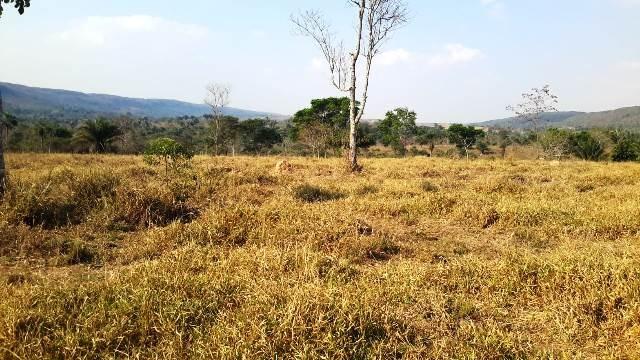 Fazenda 142 ha Serra de São Vicente MT - Foto 8
