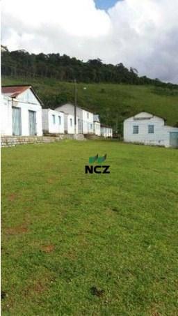 Fazenda à venda, 2780000 m² por r$ 3.000.000 - nova palma - gongogi/ba - Foto 7