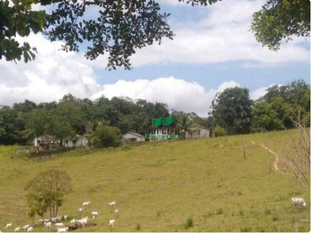 Linda fazenda à venda, 8000000 m² por r$ 6.300.000 - inocoop - itamaraju/ba - Foto 13