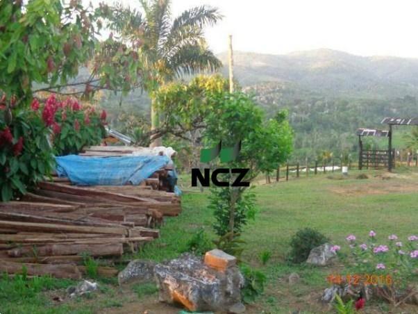Fazenda à venda, 2780000 m² por r$ 3.000.000 - nova palma - gongogi/ba - Foto 4