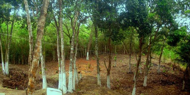Terreno 450 m2 Condomínio Vale do Jacarandá - Foto 17