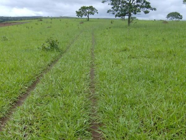 Fazenda formada escriturada Santo António Goiás