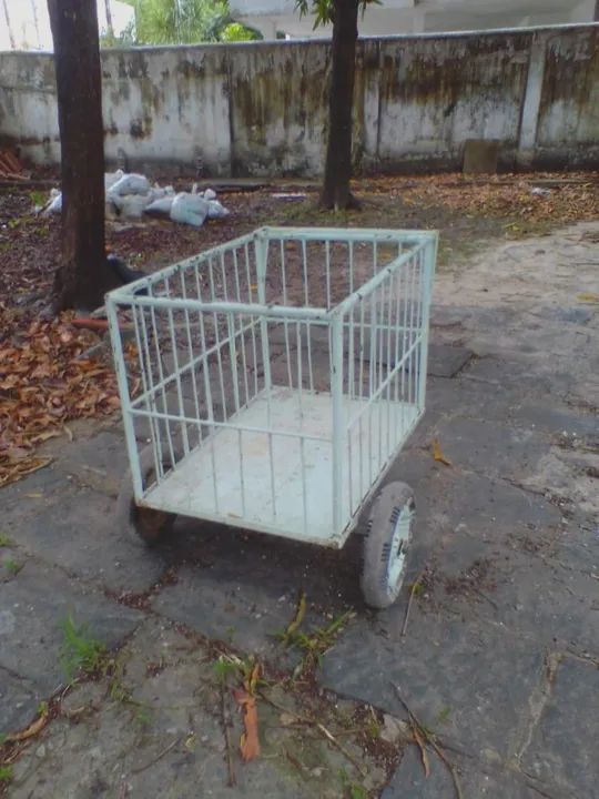 Carroça para vendas de cocô e outros produtos ou fretes