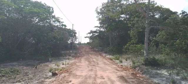 Vendo - Loteamento - Sauípe - cód. 11 - Foto 3