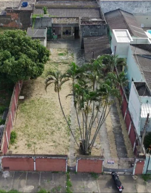 foto - Campos dos Goytacazes - Parque São Caetano