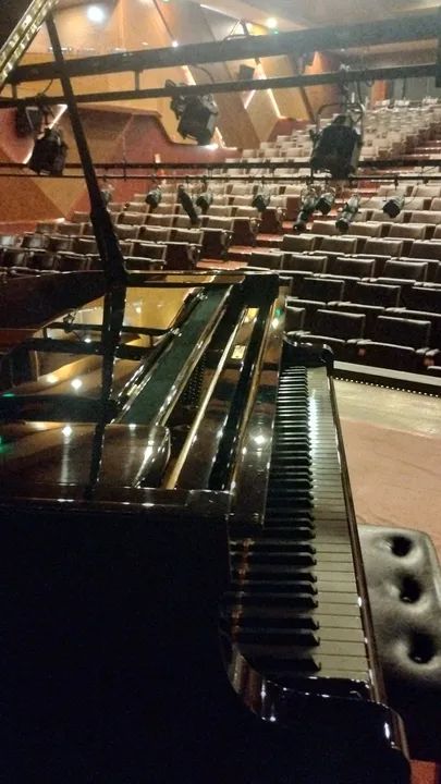 Piano meia cauda locação  - Foto 4