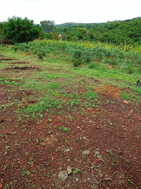 Terreno com vegetação nativa em área rural - Foto 12