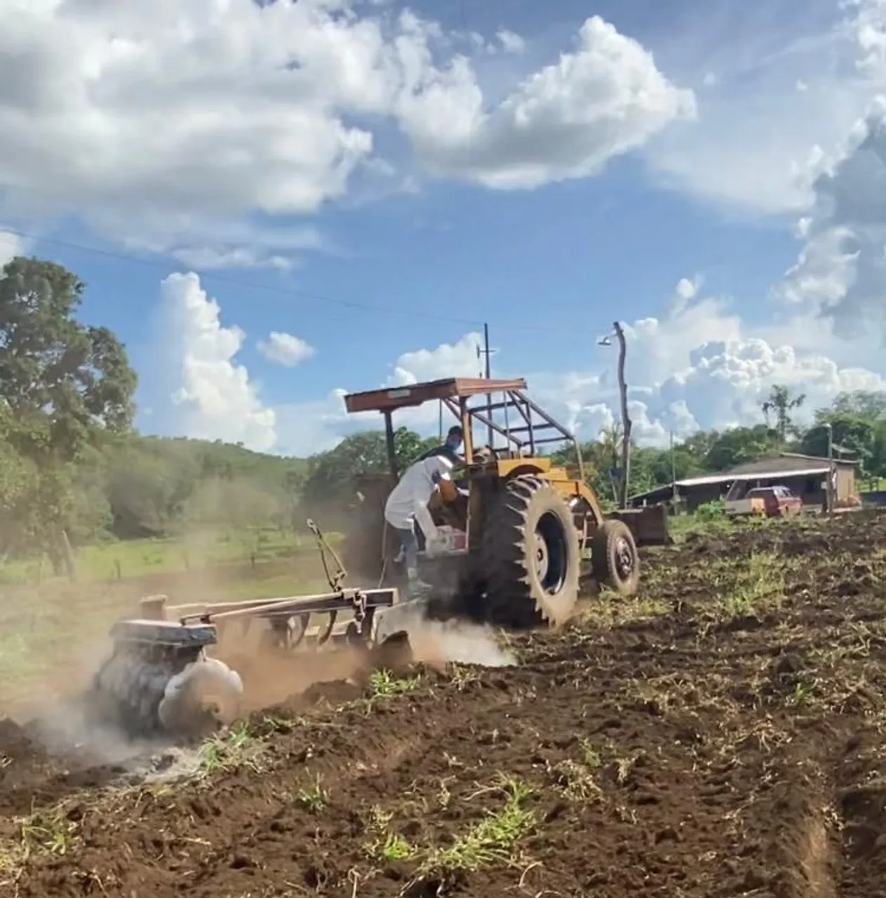 Serviço de Arado com Trator Agrícola - Preparo do Solo