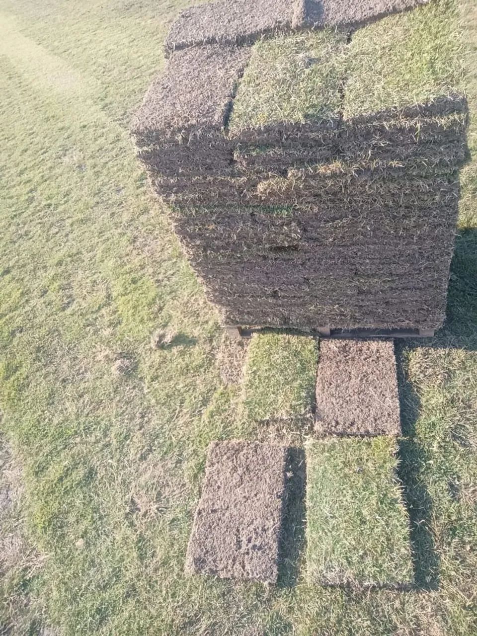 Grama 64304354624387120