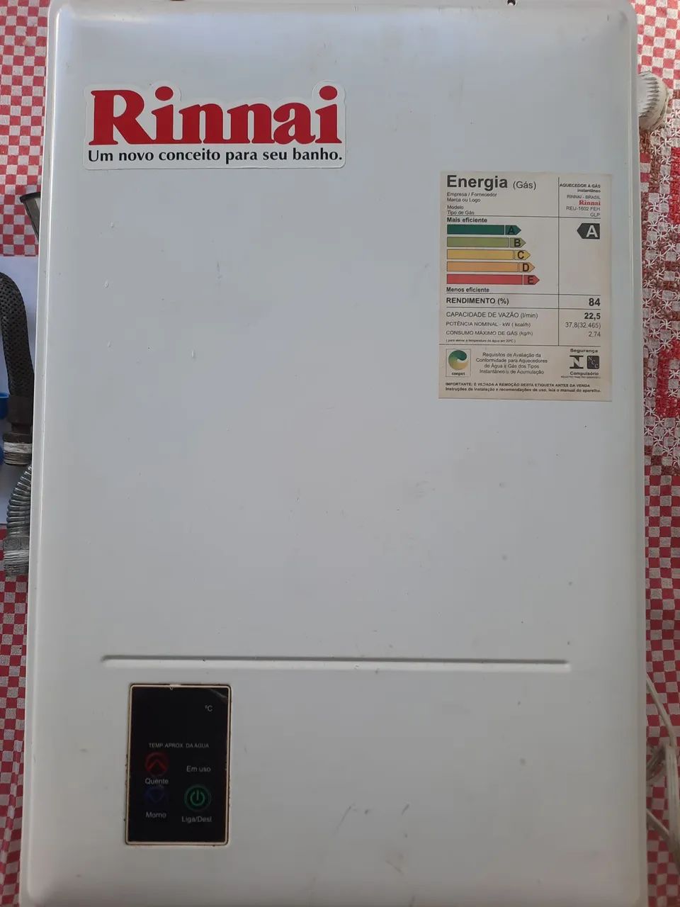 Aquecedor de água a gás Rinnai REU-1602 FEH GLP