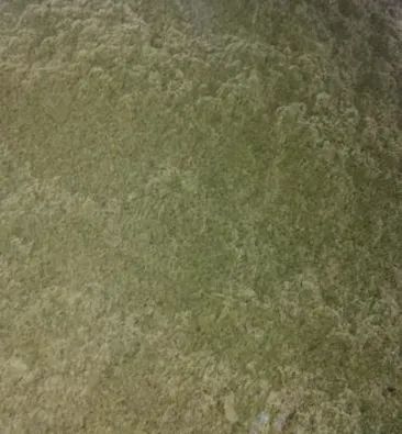 TORTA DE ALGODAO FOB EM NOVA MUTUM.MT SAFRA/2025 - Foto 2