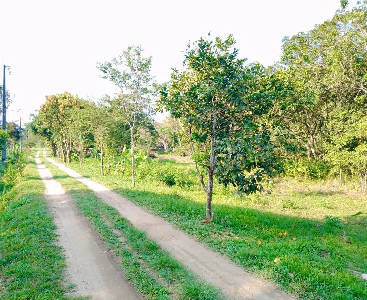 Lote na região serrana
