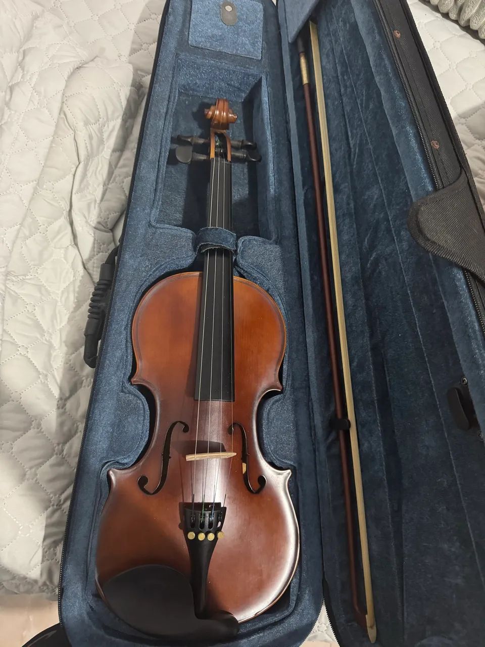 Violino65049014059139122