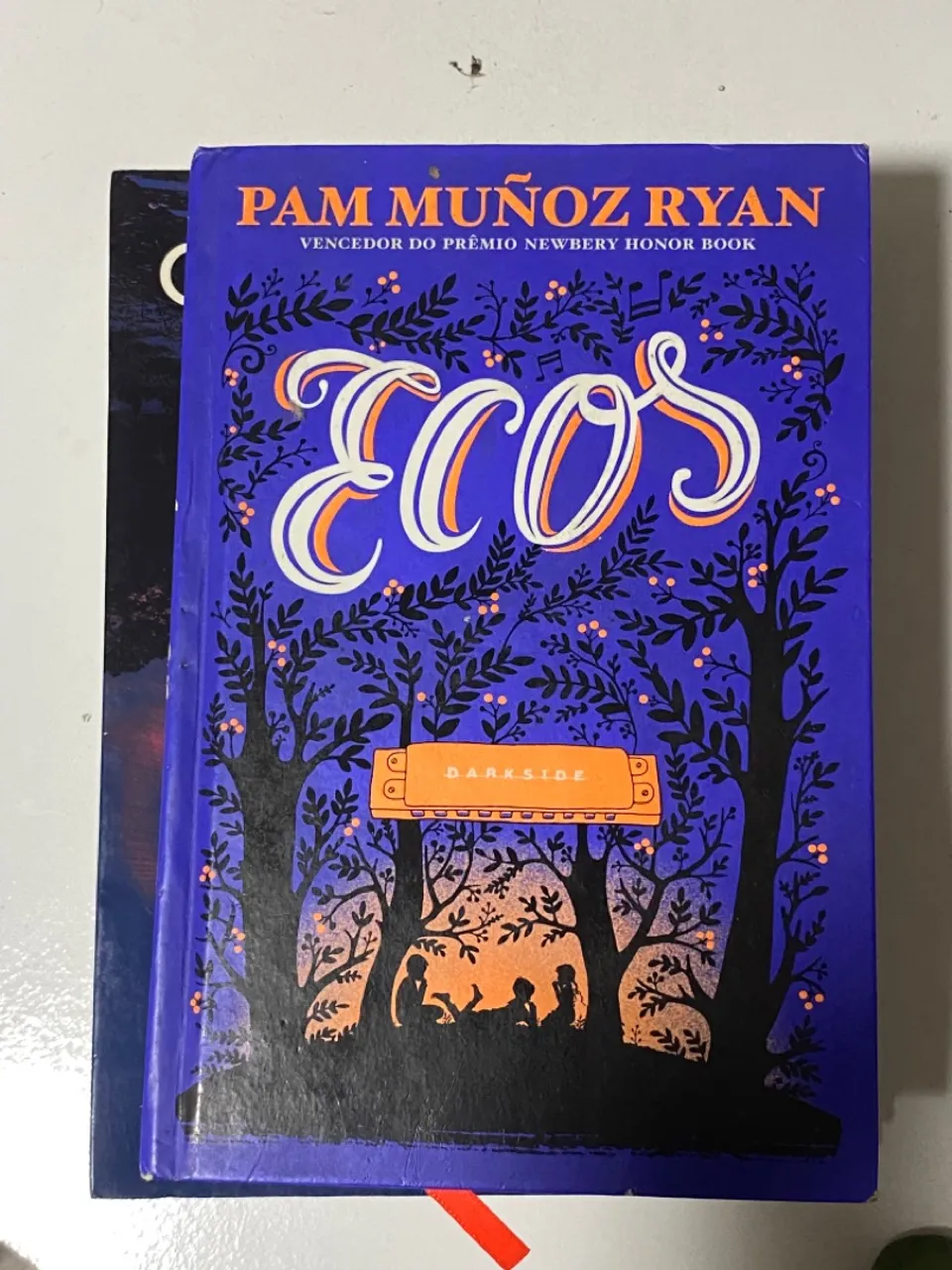 Livro Darkside Ecos - Pam Muñoz Ryan