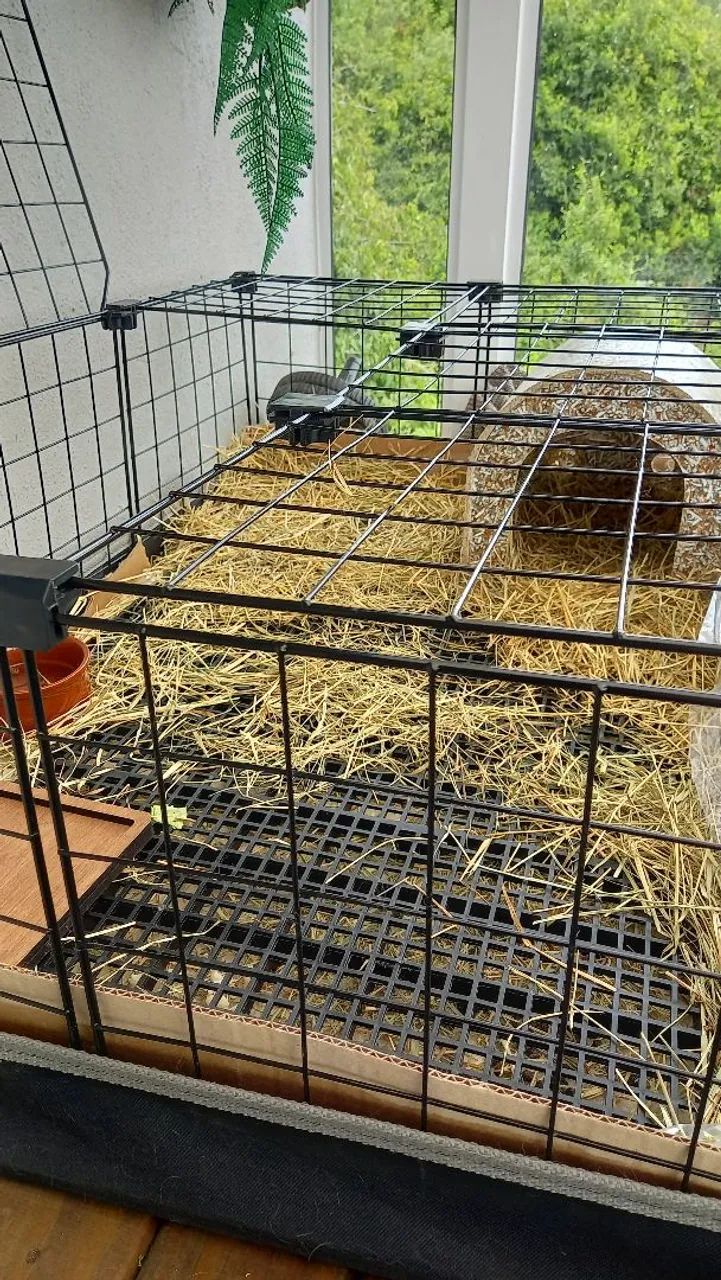 Cercado para roedores, coelhos e outros - Foto 4