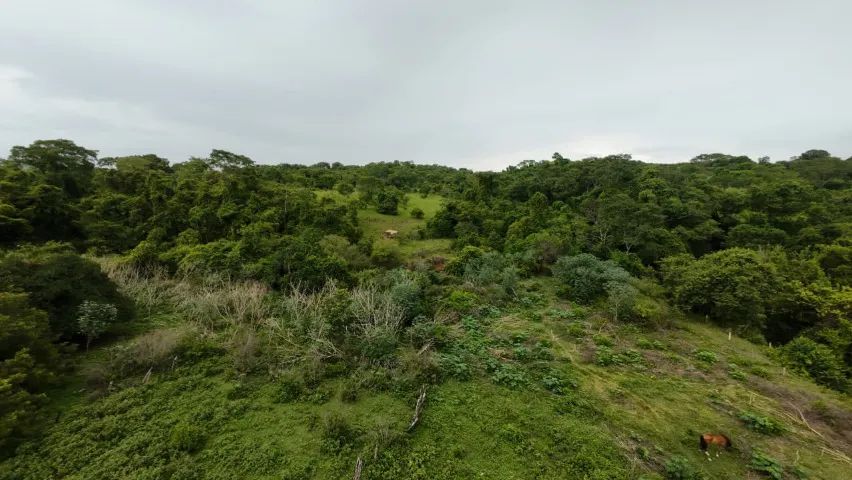 Fazenda à Venda - Oportunidade Rara! - Foto 2