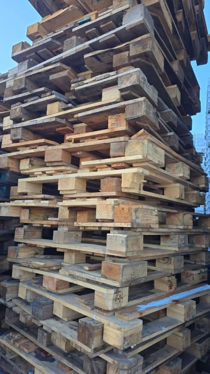 Pallet madeira Pbr padrão