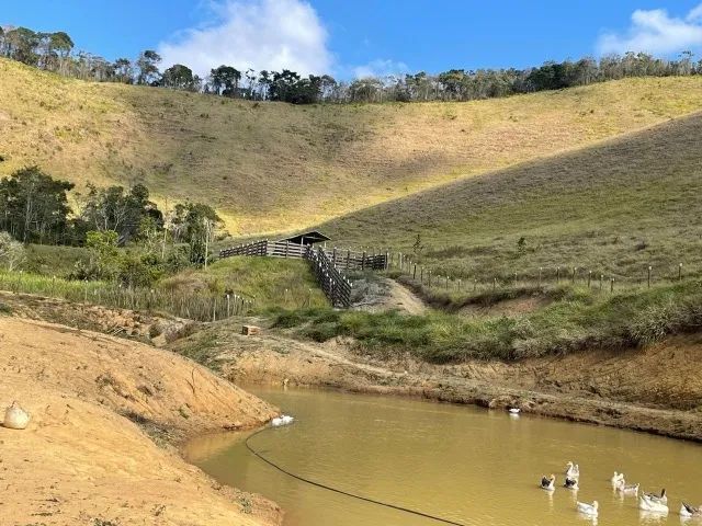Sítio 70 hectares Juiz de Fora Mg 1,4k - Foto 3