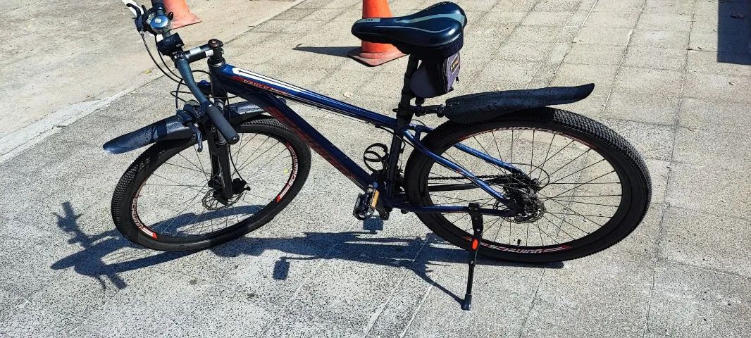 Bicicleta Schwinn Eagle MTB Aro 29
