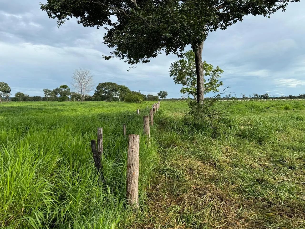 Fazenda em Itacaiu GO/MT