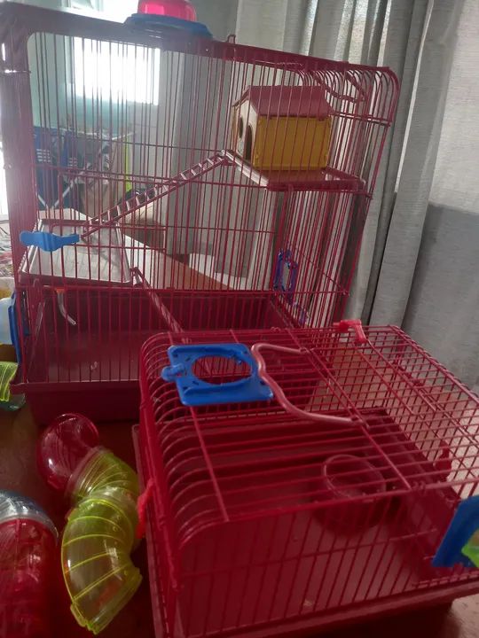 Gaiolas para Hamster - Foto 2