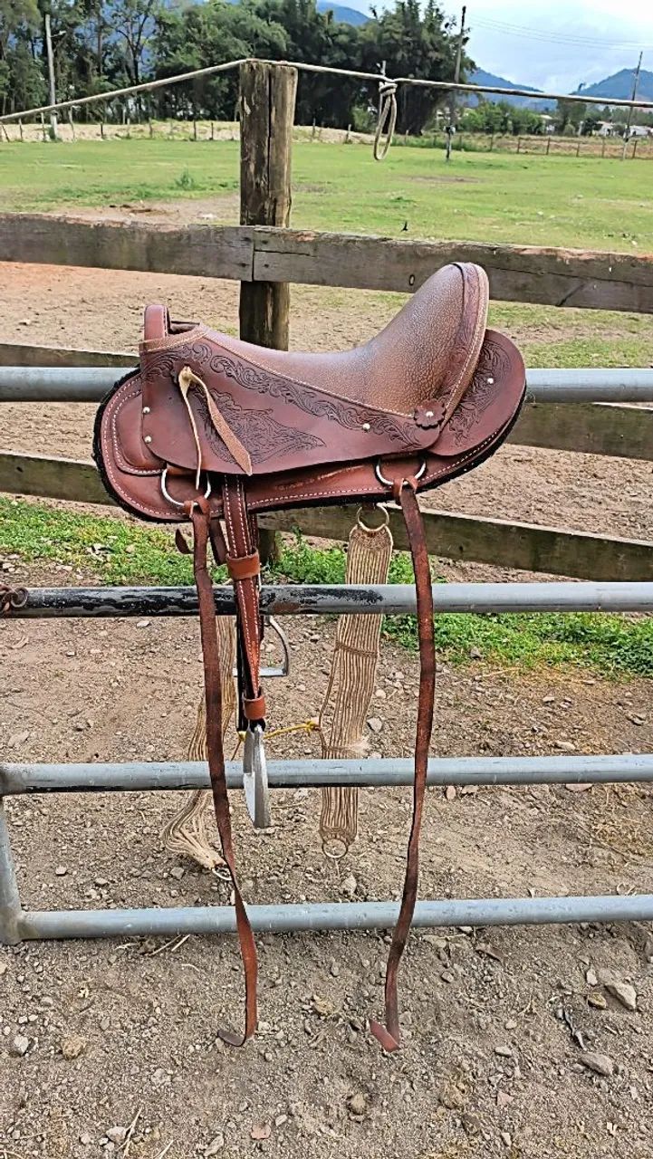 Sela australiana 