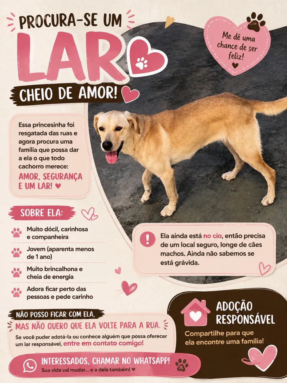 Cachorro 