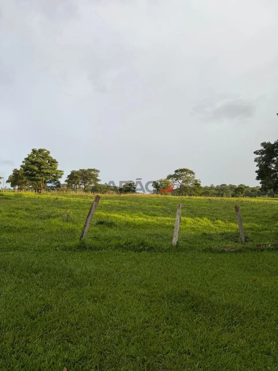 Chácara em Anicuns - Foto 2