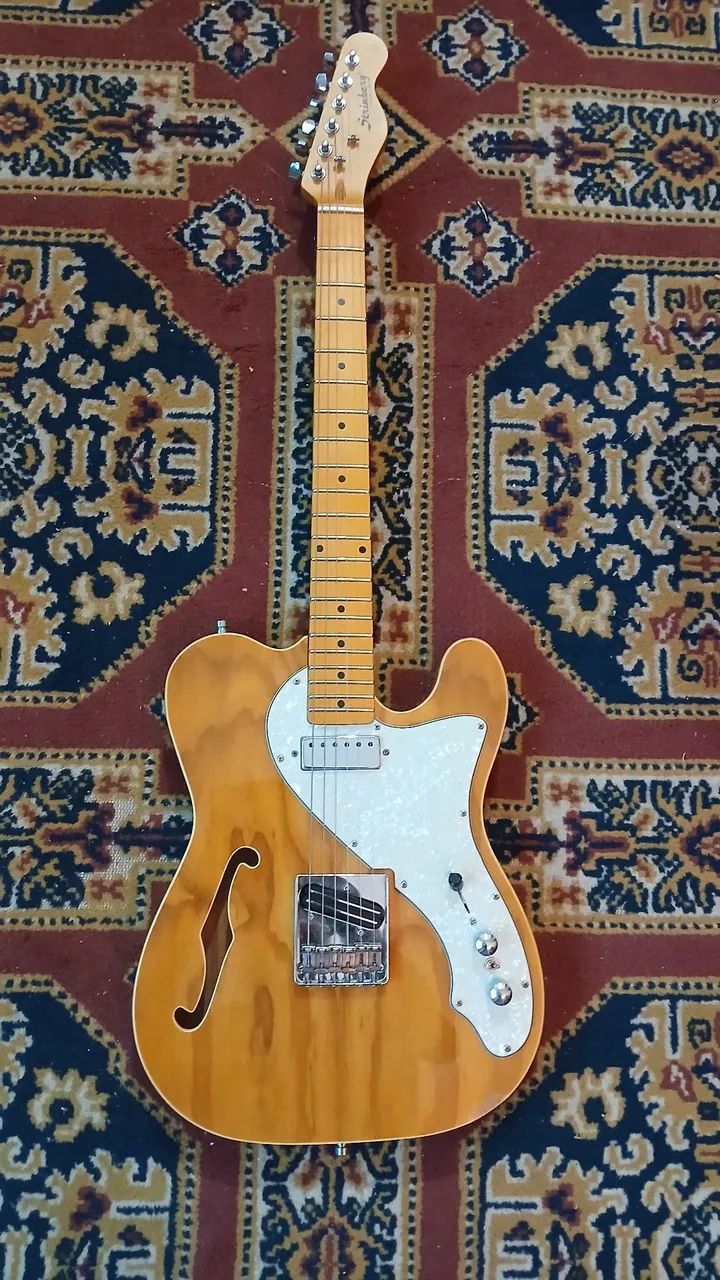 Guitarra Tele Thinline upgrade
