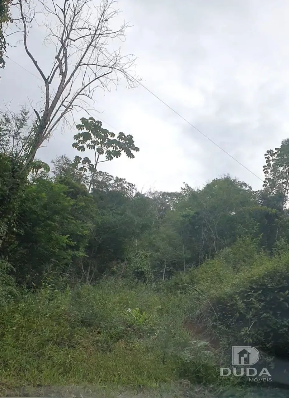 Terreno rural 2000m² em biguaçu - Foto 3