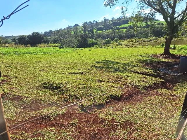  Haras Duas Lagoas - Foto 3