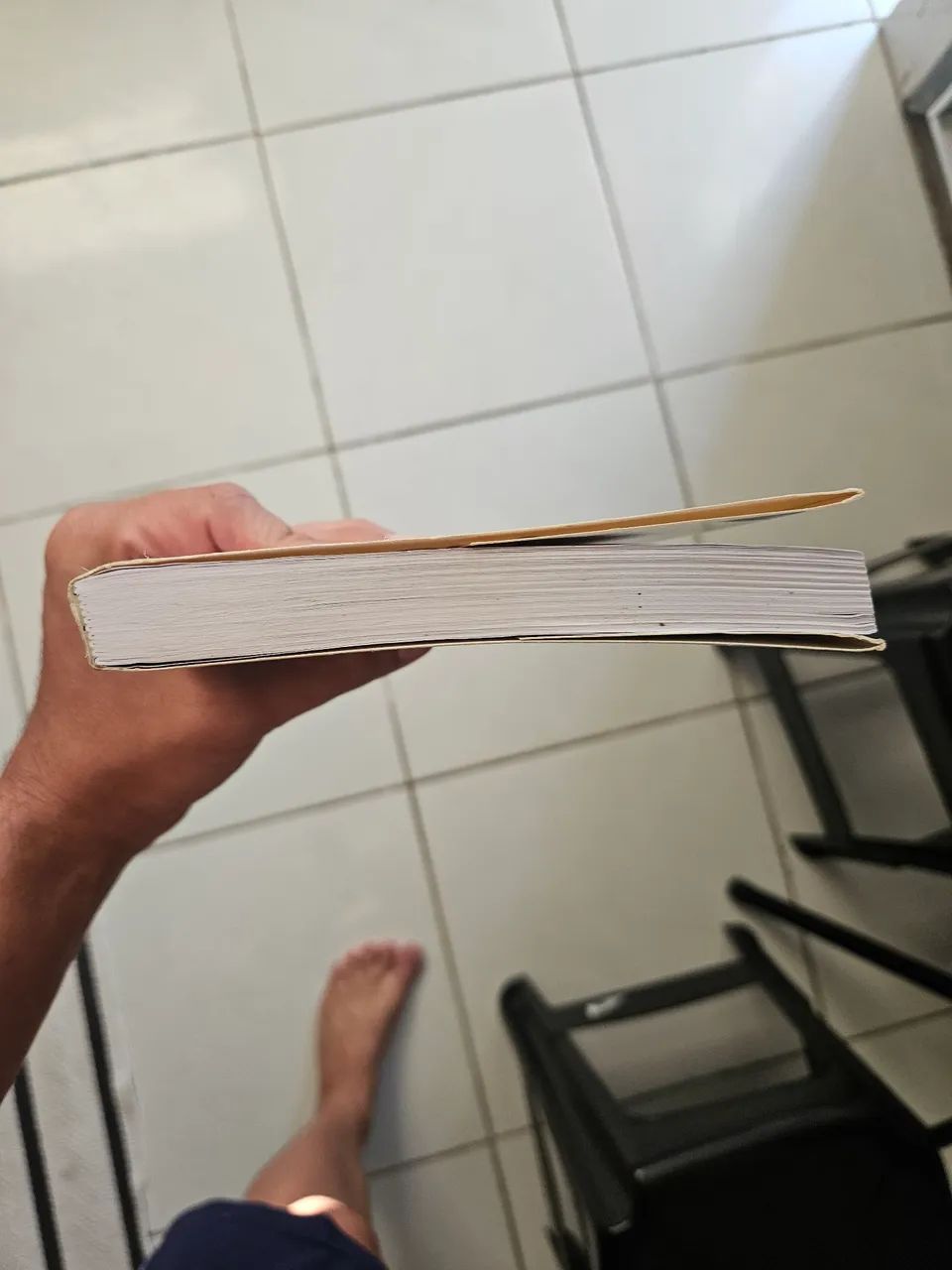 Isis sem véu volume 1 - Foto 4