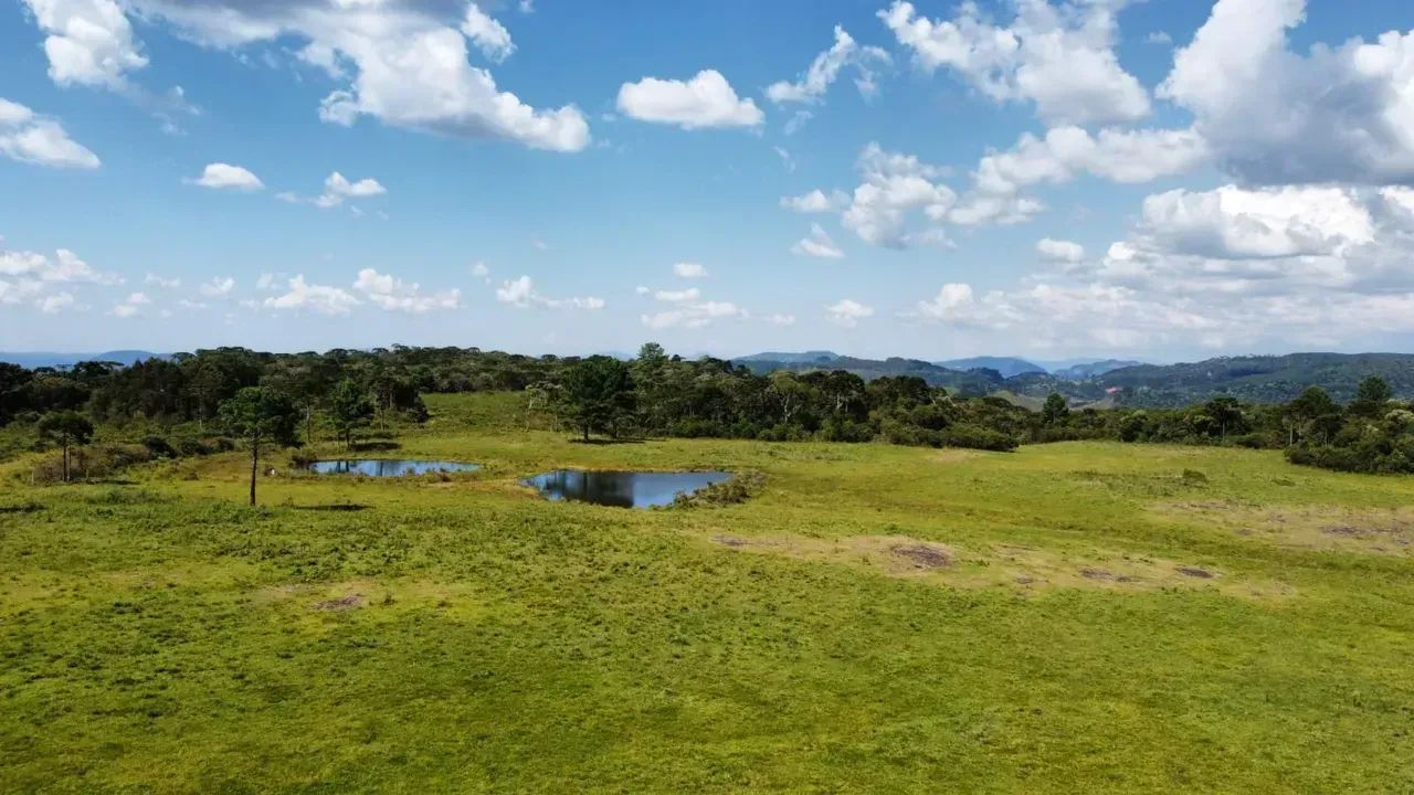 Fazenda à venda próximo à Lages - Foto 5