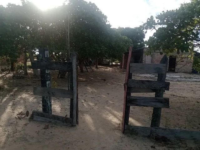 Sítio na região do água boa  - Foto 3