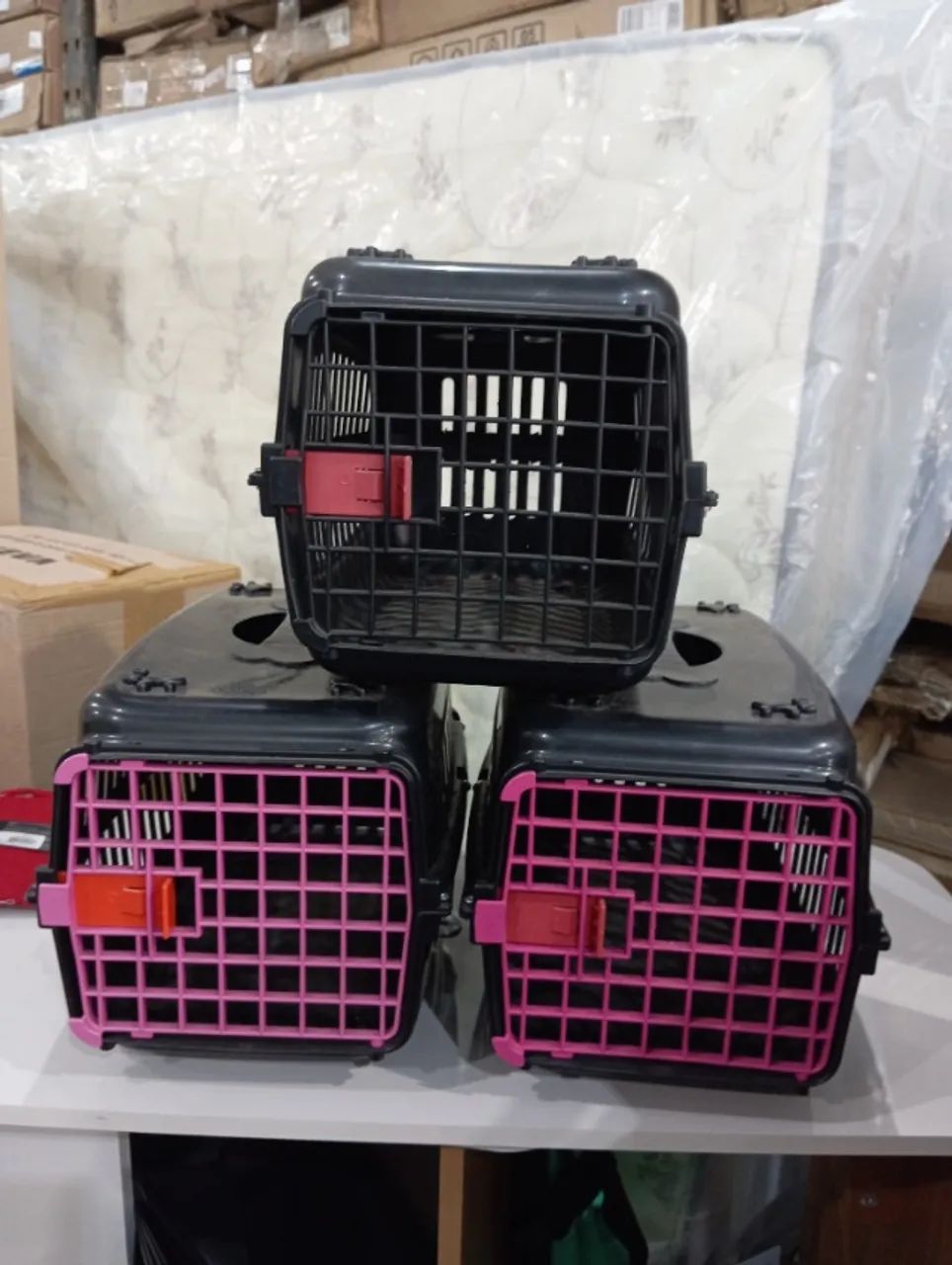 Caixa transporte pet 