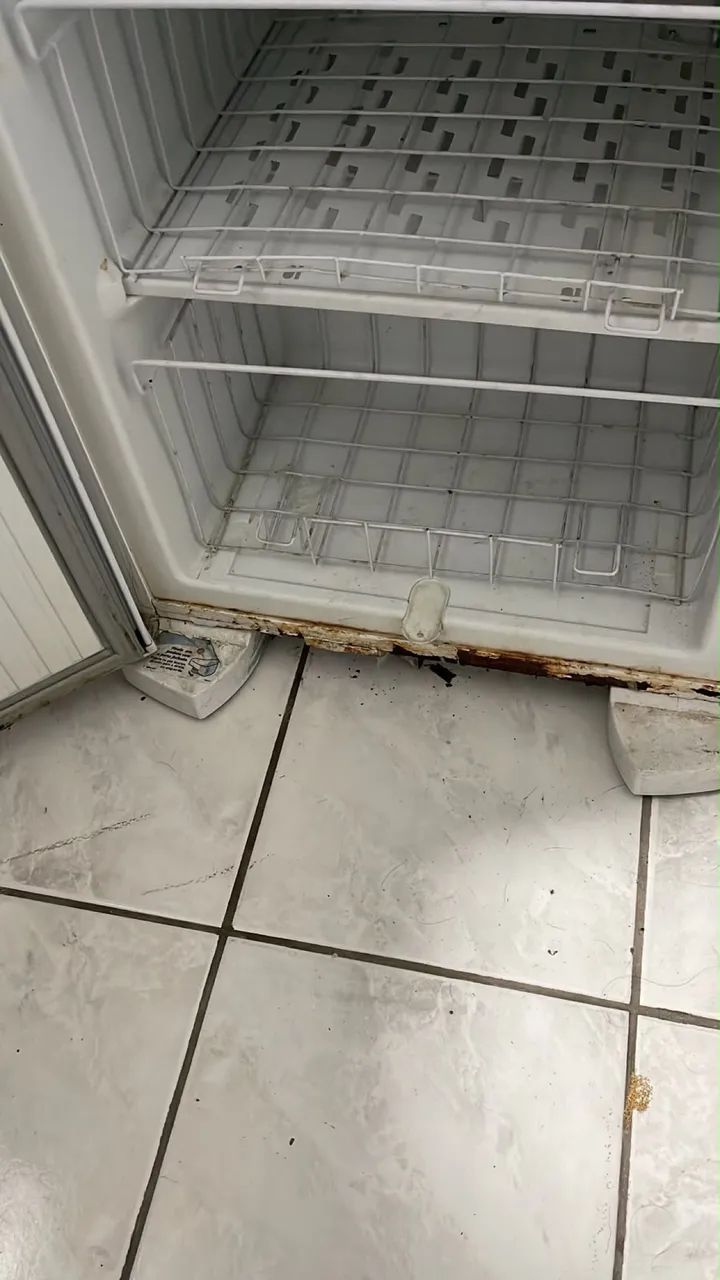 FREEZER ELETROLUX FE26 - USADO - Foto 2