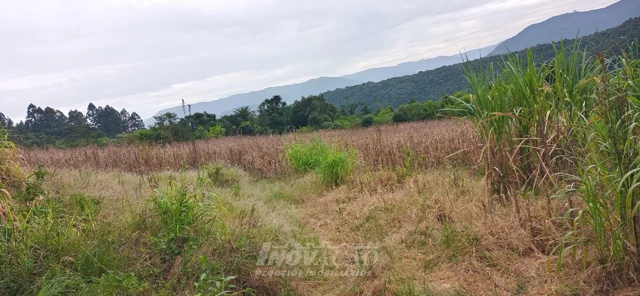 Chácara Linha Temeraria Nova Petrópolis - Foto 3
