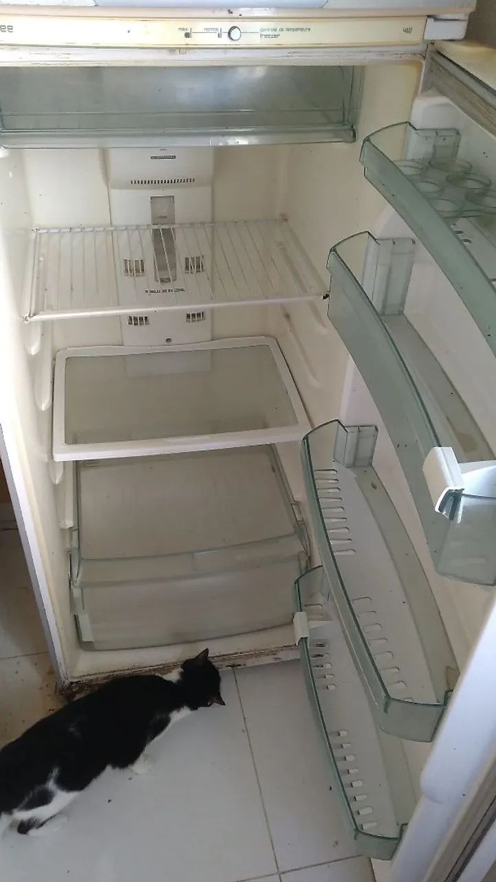GELADEIRA USADA POTENTE FROST FREE DUPLEX - Foto 2