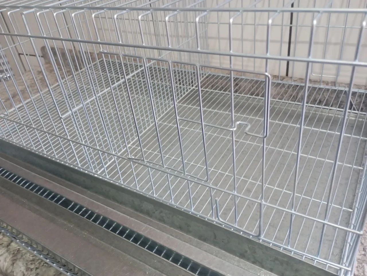 Giant Quail Laying Cage, Aviary for 20 Birds
